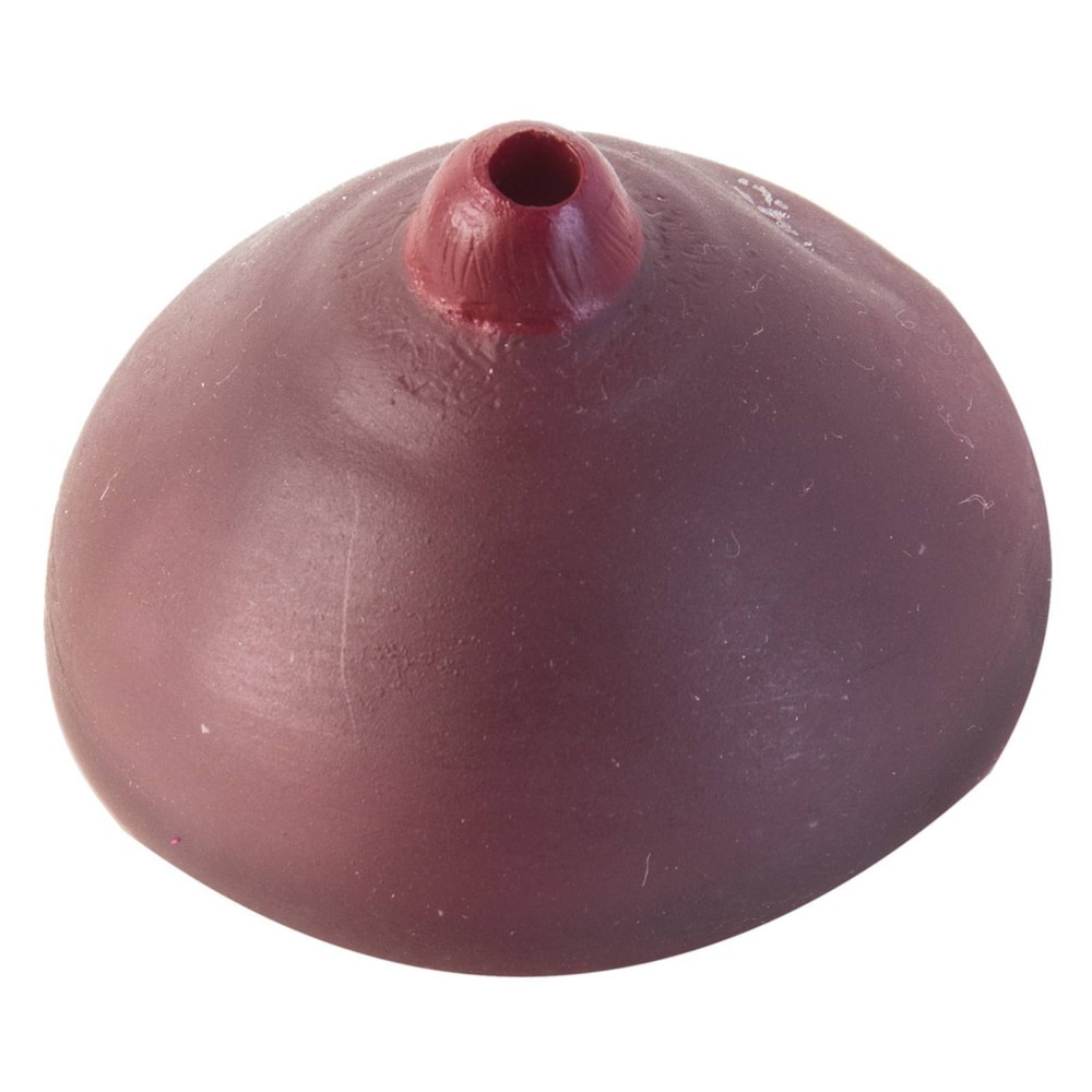 image_b2f22e59-04af-4d71-b69b-45737d36d41c