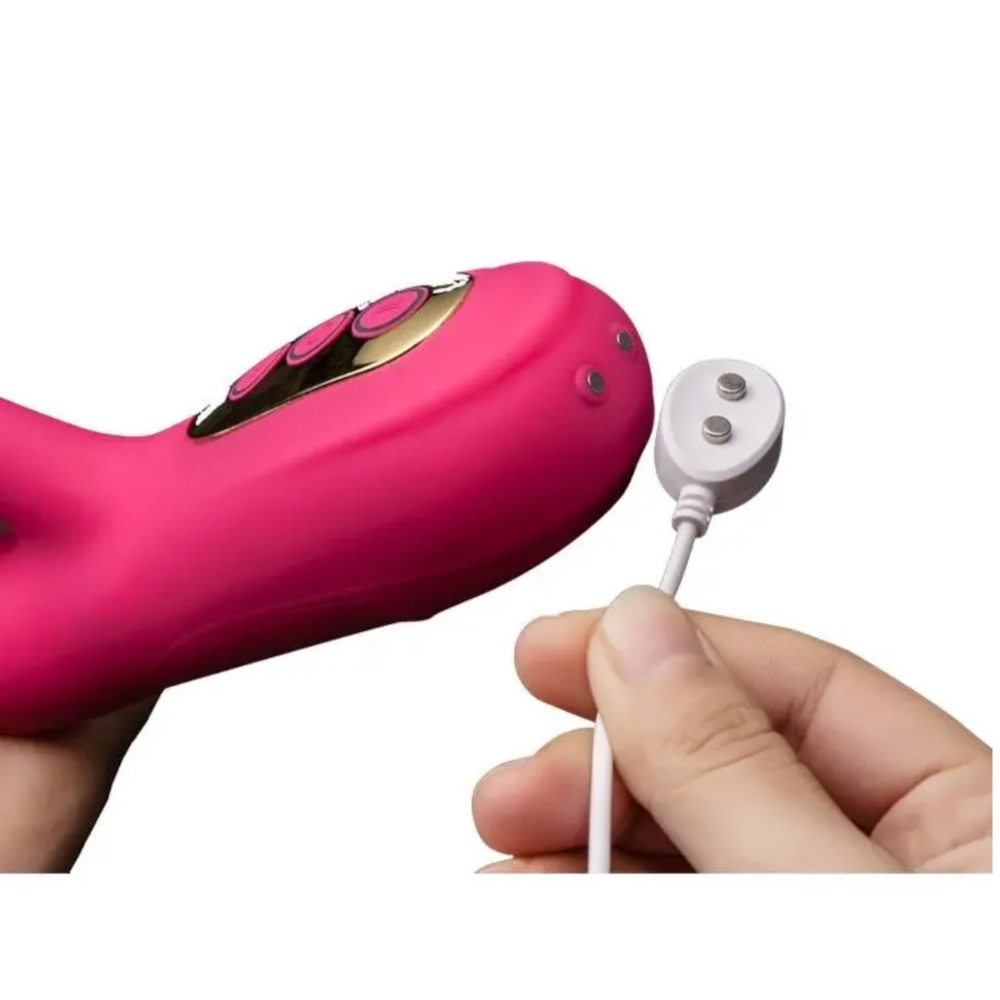 image_379e1bc3-0fcc-43d5-9e1f-1d12d7aecf60