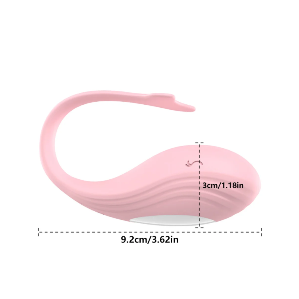 image_a7b923b5-ec40-48dd-a1fd-4e6e198365dd