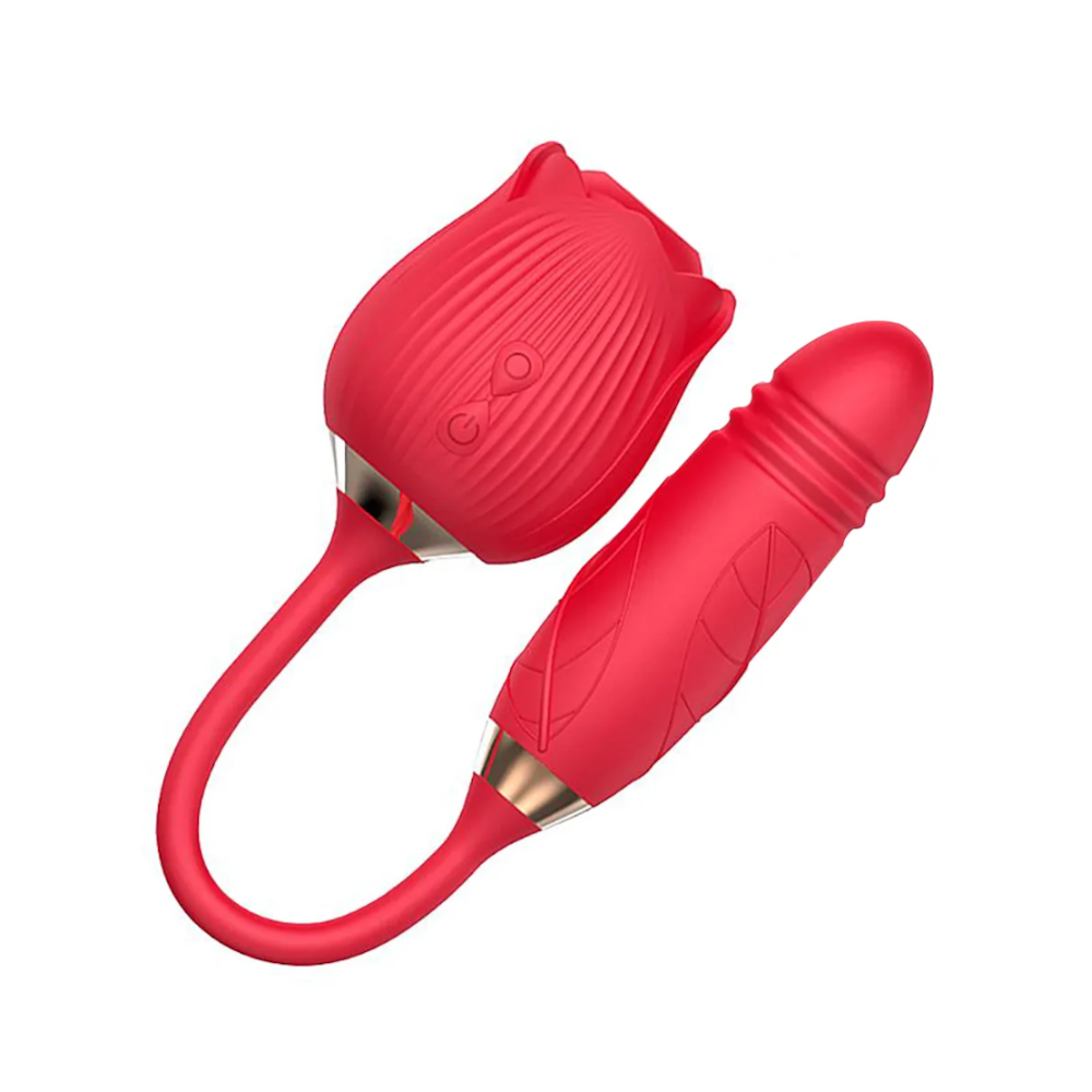 image_ceab8587-668b-4492-9911-4f4f81804612