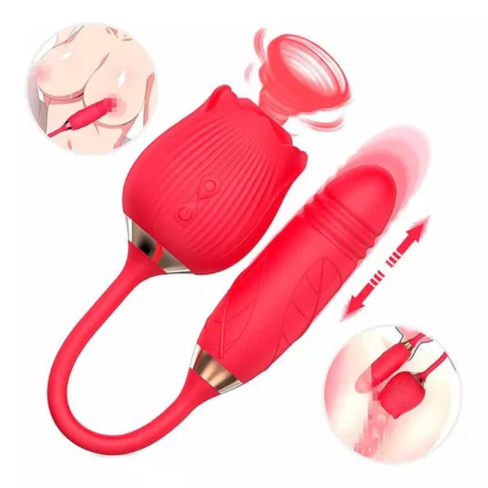 image_cfad6872-ac3d-46a3-955f-a61cc4db1929